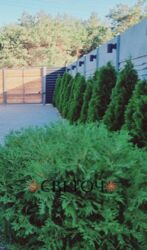 Продається будинок Дніпропетровська, Кам'янське фото 7 Продається будинок Дніпропетровська, Кам'янське фото 7