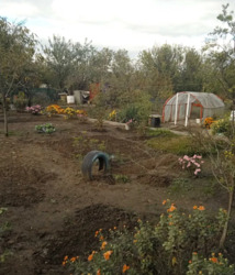   , ', ',  ,   '  '  7