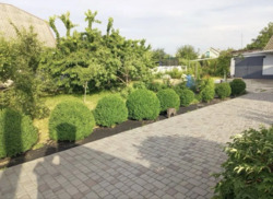 ������ ������� ��������� ���� 1