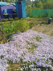   , ', ',  ,   '  '  6