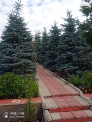  2        14 , 260 . , 3   5