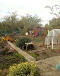   , ', ',  ,   '  '  5