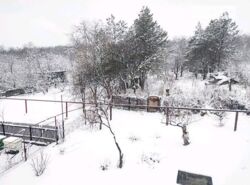  2        10 , 184 . , 5 ,      4