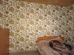 Дом возле трассы Днепр-Полтава фото 8 Дом возле трассы Днепр-Полтава фото 8