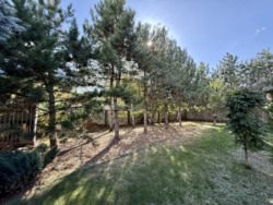 ПРОДАЖ БУДИНКУ!!Велика Територія! фото 3 ПРОДАЖ БУДИНКУ!!Велика Територія! фото 3