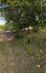 Продається будинок Дніпропетровська, Кам'янське, Кам'янське, Черемушки фото 14 Продається будинок Дніпропетровська, Кам'янське, Кам'янське, Черемушки фото 14