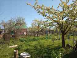 Дача в сказочном месте фото 3 Дача в сказочном месте фото 3