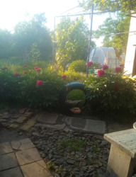   , ', ',  ,   '  '  10