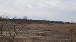 Продам газифікований будинок в смт. Миколаївка фото 13 Продам газифікований будинок в смт. Миколаївка фото 13