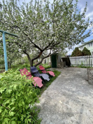 Продається будинок Дніпропетровська, Кам'янське, Кам'янське, Соцгород фото 6 Продається будинок Дніпропетровська, Кам'янське, Кам'янське, Соцгород фото 6