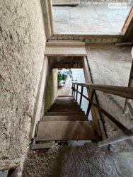  ,  12   .    6-   ()  4