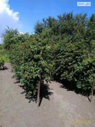  1        30 , 129 . , 4   2