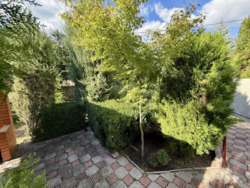 ПРОДАЖ БУДИНКУ!!Велика Територія! фото 6 ПРОДАЖ БУДИНКУ!!Велика Територія! фото 6