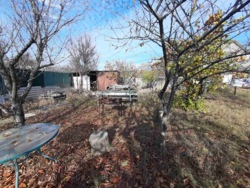 Дача на Ветеране фото 3 Дача на Ветеране фото 3