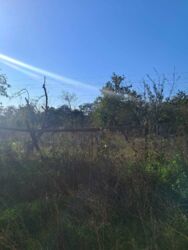 ������� ������������ ����-���� � ���������� ���� 17