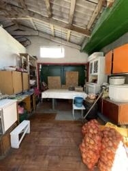 ������� ����� ���� 4