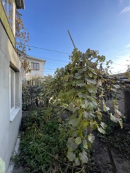 ������� � ���! ���� 3