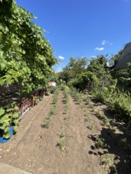 Будинок у Садовому Товаристві «Ювілейний» фото 11 Будинок у Садовому Товаристві «Ювілейний» фото 11