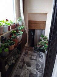 Жилой дом на Заре фото 14 Жилой дом на Заре фото 14