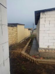 ����� ���� ������� ������ ���� 5