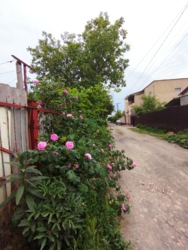 ������ ��� � �� ����� ���� 3