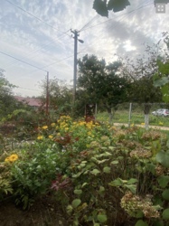 ��� � ��������� ������ � ����������� ���� 4