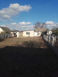 ����� ���� ������� ������ ���� 12