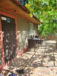 ���-���� ������� ���� 19