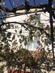 ��������� ������� �������, 45, �������������, �����������, ������� ���� 4