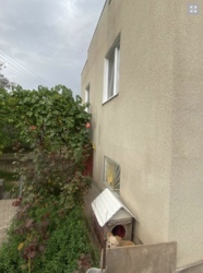 ��� � ��������� ������ � ����������� ���� 2