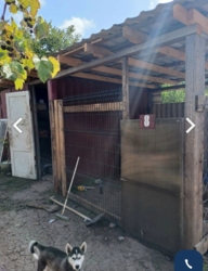 ��������� ������ ���� ������� ���� 7