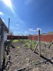 ������ ��� � ���������� ���� 17