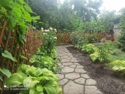 ĳ� � �������� ������������ ���� 12