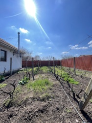 ������ ��� � ���������� ���� 16