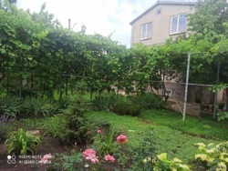 ĳ� � �������� ������������ ���� 11