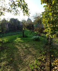 ����������� ��� �� ����� ���� 16