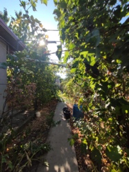 Добротный Дом на Волне фото 4 Добротный Дом на Волне фото 4