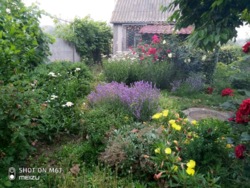 Дом в Александровке. фото 6 Дом в Александровке. фото 6