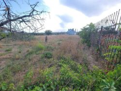 ��� � ������������� � ������� �������� ���� 11