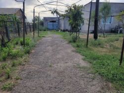 ��� � ������������� � ������� �������� ���� 12