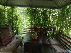 Дом в Александровке. фото 2 Дом в Александровке. фото 2