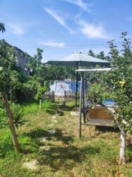 ���-���� ������� ���� 16