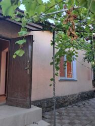 ������� ������������ ����-���� � ���������� ���� 1