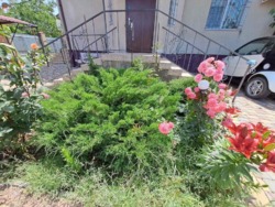 Продается капитальный дом в СО «Вишневий Сад» фото 20 Продается капитальный дом в СО «Вишневий Сад» фото 20