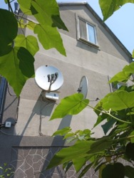 Дом в Александровке. фото 7 Дом в Александровке. фото 7