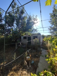 Добротный Дом на Волне фото 17 Добротный Дом на Волне фото 17