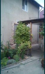 Продам дом в Александровке фото 16 Продам дом в Александровке фото 16