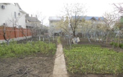 Дом фото 9 Дом фото 9