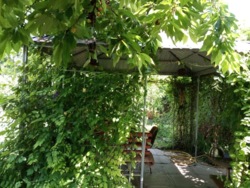 Дом в Александровке. фото 4 Дом в Александровке. фото 4