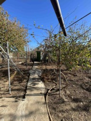 ������� ����� ���� 10